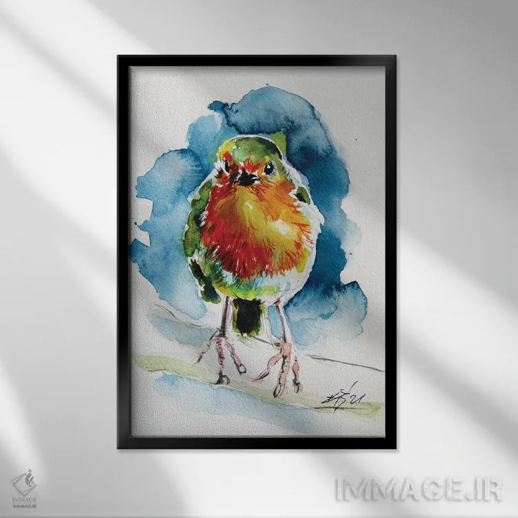 تابلو سینهسرخ زیبا اثر آنا بریجیتا کوواچ - نمای قابدار مشکی