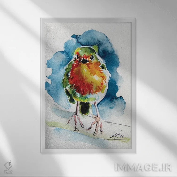 تابلو سینهسرخ زیبا اثر آنا بریجیتا کوواچ - نمای قابدار سفید