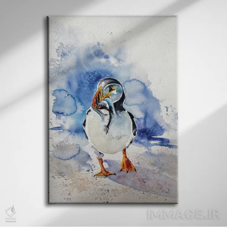 تابلو پافین (پرنده دریایی) اثر آنا بریجیتا کوواچ - نمای روبهرو روی دیوار