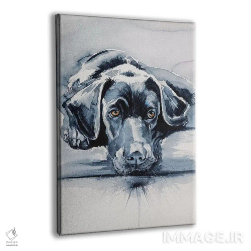 تابلو لابرادور سیاه (سگ) اثر آنا بریجیتا کوواچ - نمای پرسپکتیو محصول