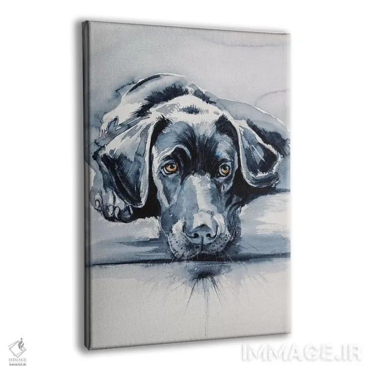تابلو لابرادور سیاه (سگ) اثر آنا بریجیتا کوواچ - نمای پرسپکتیو محصول
