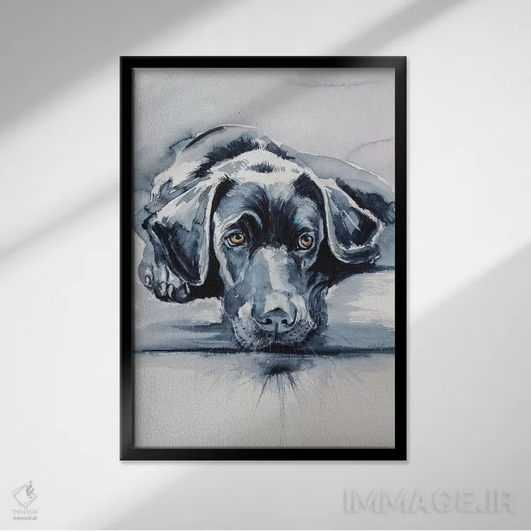 تابلو لابرادور سیاه (سگ) اثر آنا بریجیتا کوواچ - نمای قابدار مشکی