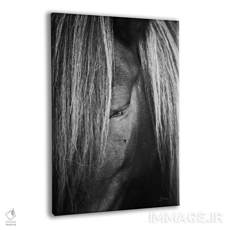 تابلو خجالتی اثر الدندا - نمای پرسپکتیو محصول