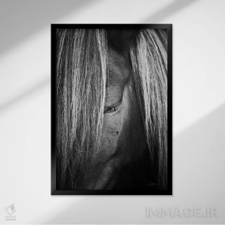 تابلو خجالتی اثر الدندا - نمای قابدار مشکی