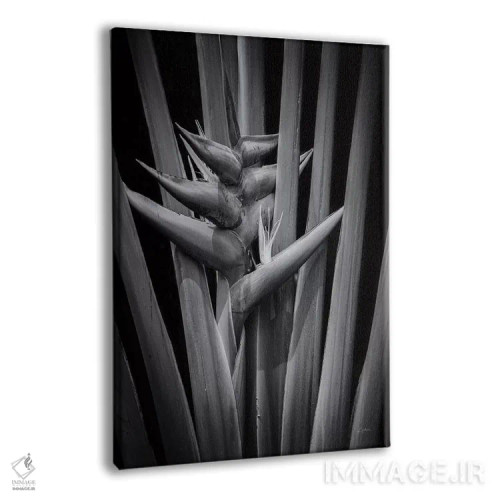 تابلو گرمسیری ۱ اثر الدندا - نمای پرسپکتیو محصول