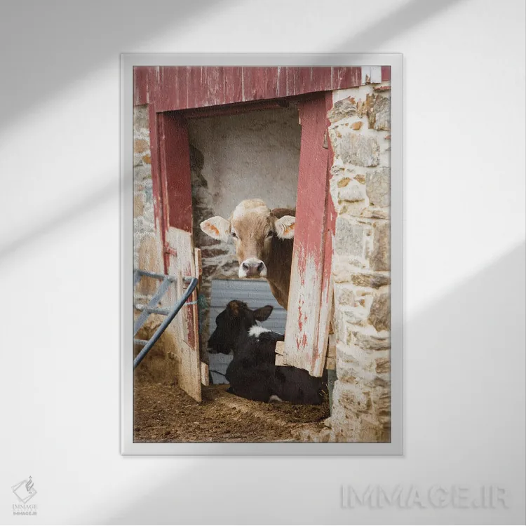 تابلو استراحت اثر الدندا - نمای قابدار سفید