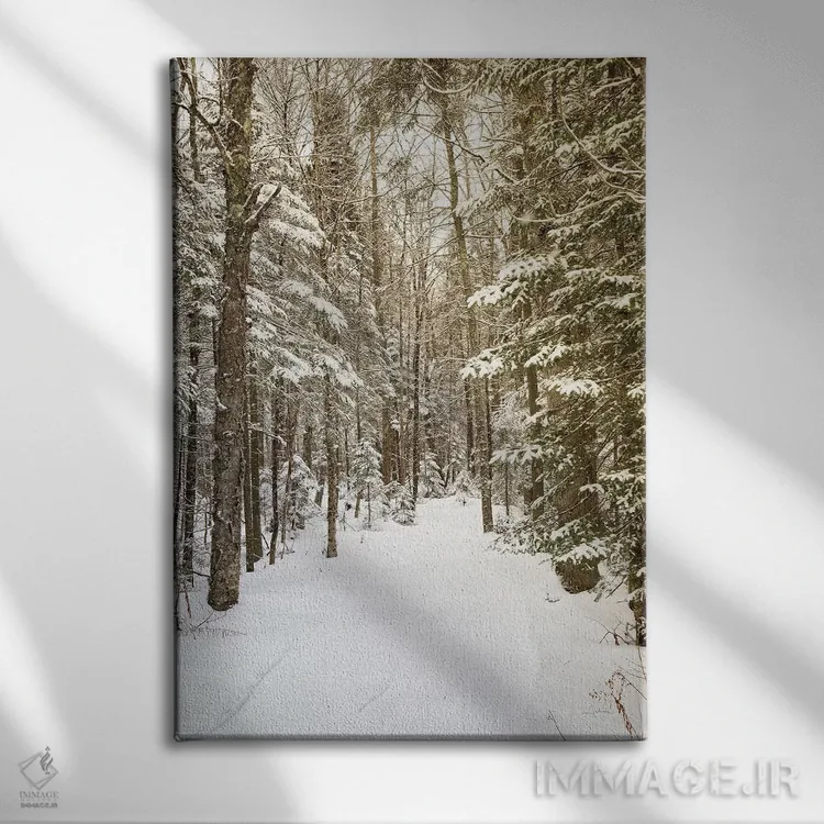 تابلو از میان جنگل اثر الدندا - نمای روبهرو روی دیوار