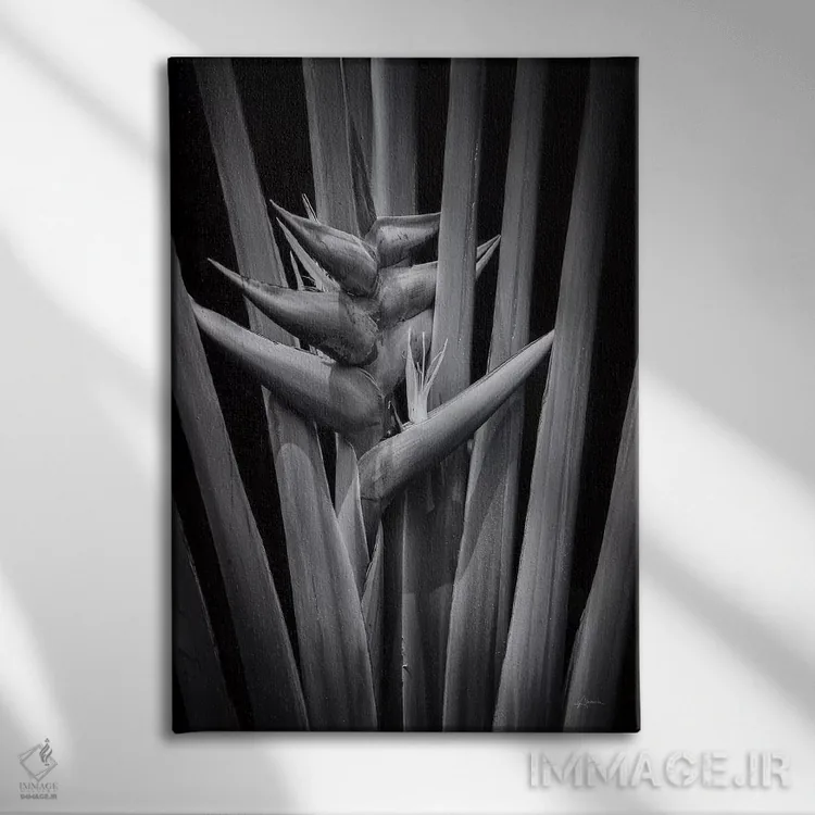 تابلو گرمسیری ۱ اثر الدندا - نمای روبهرو روی دیوار