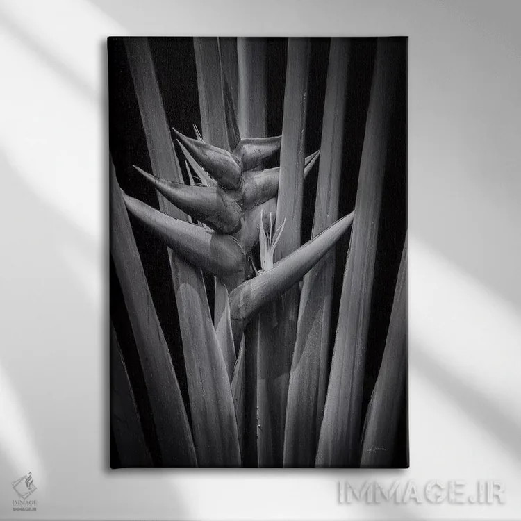 تابلو گرمسیری ۱ اثر الدندا - نمای روبهرو روی دیوار