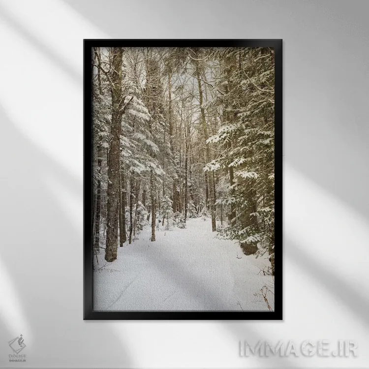 تابلو از میان جنگل اثر الدندا - نمای قابدار مشکی