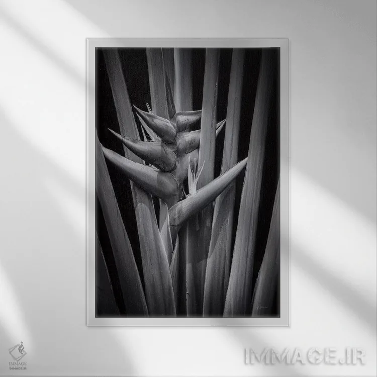 تابلو گرمسیری ۱ اثر الدندا - نمای قابدار سفید