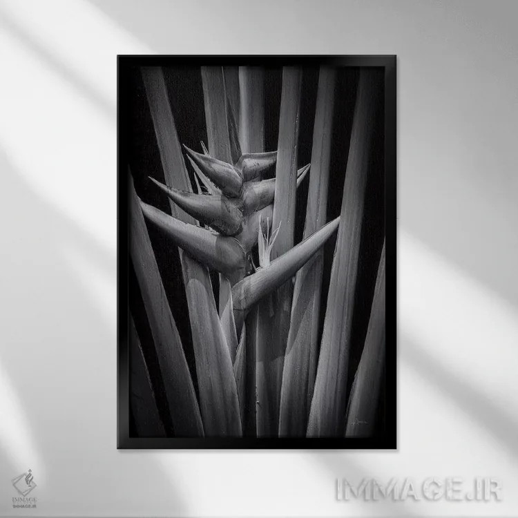 تابلو گرمسیری ۱ اثر الدندا - نمای قابدار مشکی