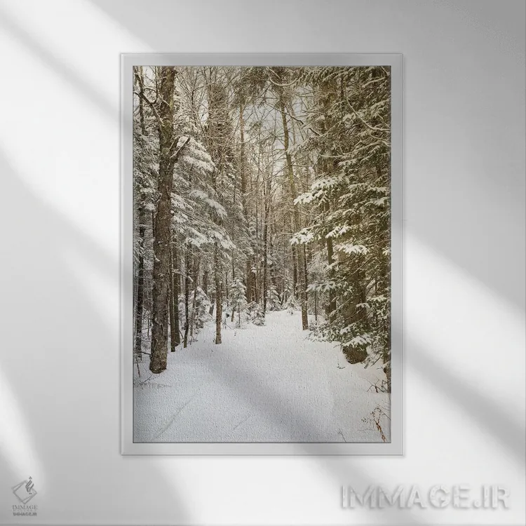 تابلو از میان جنگل اثر الدندا - نمای قابدار سفید