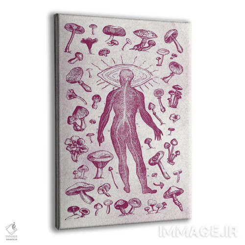تابلو قارچها اثر آندریاس لیه - نمای پرسپکتیو محصول