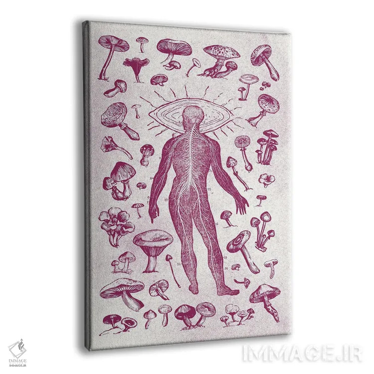 تابلو قارچها اثر آندریاس لیه - نمای پرسپکتیو محصول
