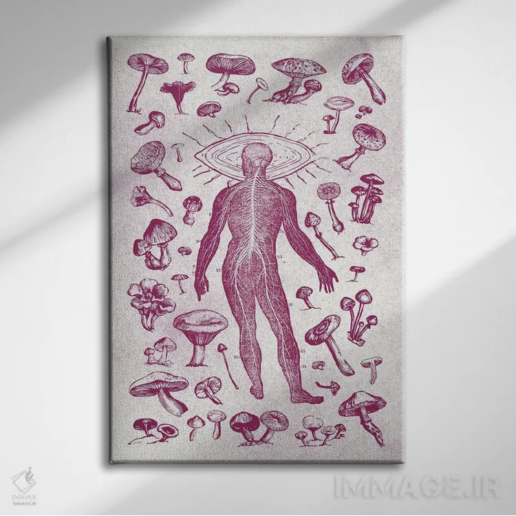 تابلو قارچها اثر آندریاس لیه - نمای روبهرو روی دیوار
