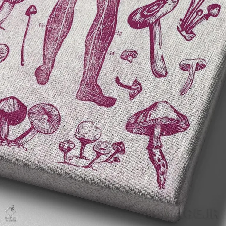 تابلو قارچها اثر آندریاس لیه - نمای نزدیک بافت بوم