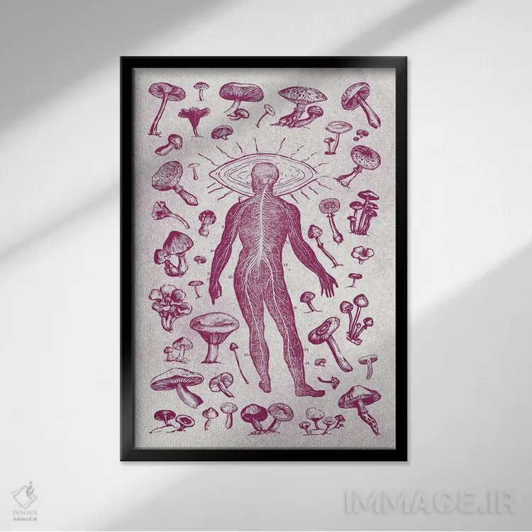 تابلو قارچها اثر آندریاس لیه - نمای قابدار مشکی