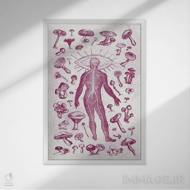 تابلو قارچها اثر آندریاس لیه - نمای قابدار سفید