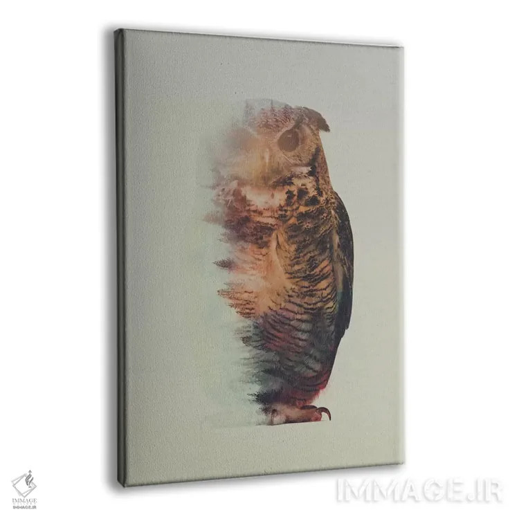 تابلو جغد اثر آندریاس لیه - نمای پرسپکتیو محصول