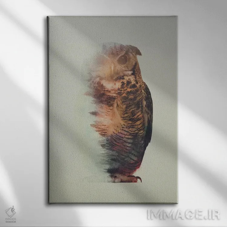 تابلو جغد اثر آندریاس لیه - نمای روبهرو روی دیوار