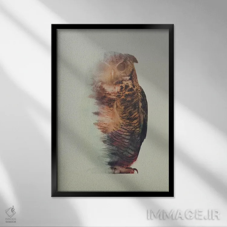 تابلو جغد اثر آندریاس لیه - نمای قابدار مشکی