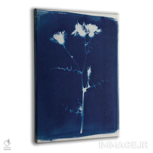 تابلو جادو در عادی بودن II اثر آلیسا گالیتسینا - نمای پرسپکتیو محصول