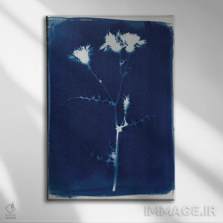 تابلو جادو در عادی بودن II اثر آلیسا گالیتسینا - نمای روبهرو روی دیوار