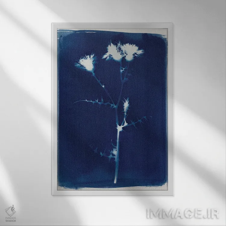 تابلو جادو در عادی بودن II اثر آلیسا گالیتسینا - نمای قابدار سفید