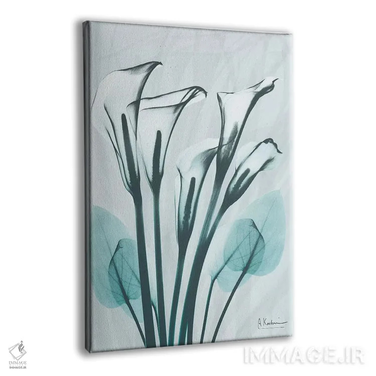 تابلو کالای لیلی کریستالیس ۱ اثر آلبرت کوئتسیِر - نمای پرسپکتیو محصول