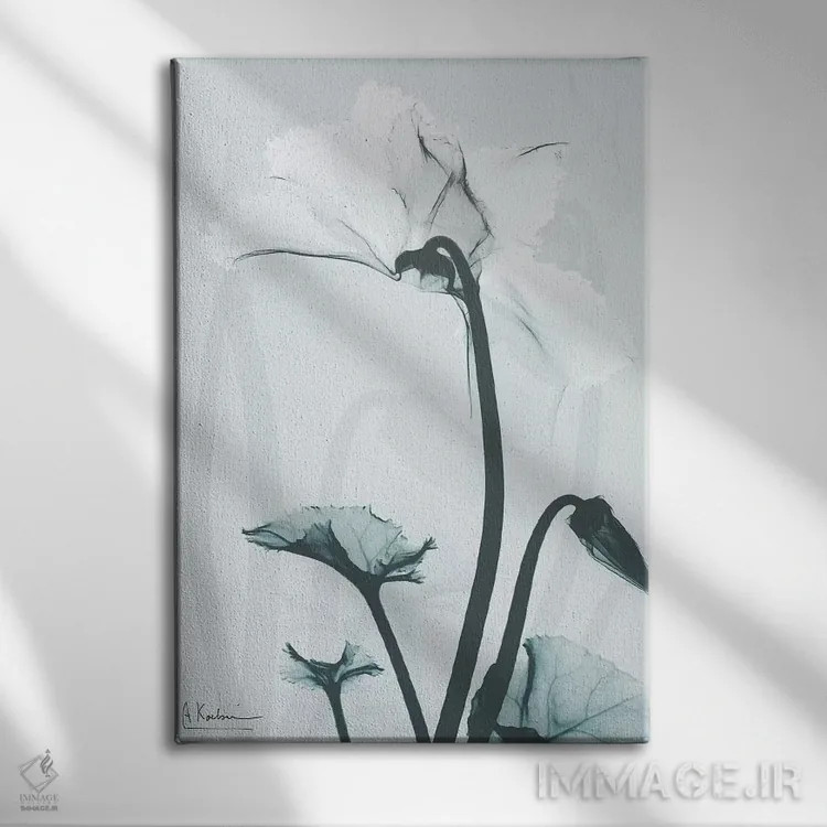 تابلو سیکلامن مورد نظر ۲ اثر آلبرت کوئتسیِر - نمای روبهرو روی دیوار