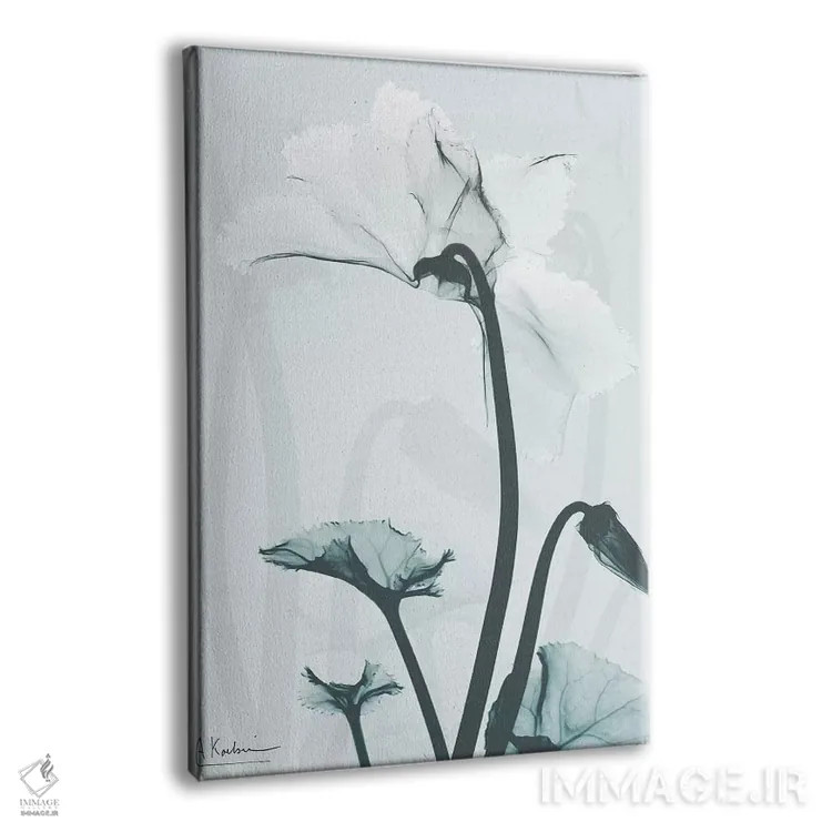 تابلو سیکلامن مورد نظر ۲ اثر آلبرت کوئتسیِر - نمای پرسپکتیو محصول