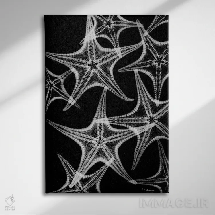 تابلو پاشش ستاره دریایی اثر آلبرت کوئتسیِر - نمای روبهرو روی دیوار