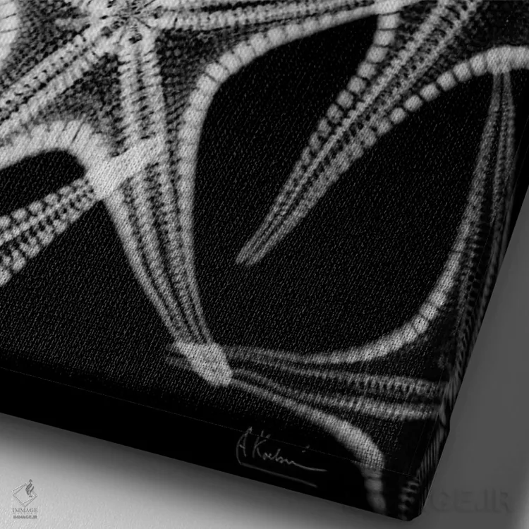 تابلو پاشش ستاره دریایی اثر آلبرت کوئتسیِر - نمای نزدیک بافت بوم