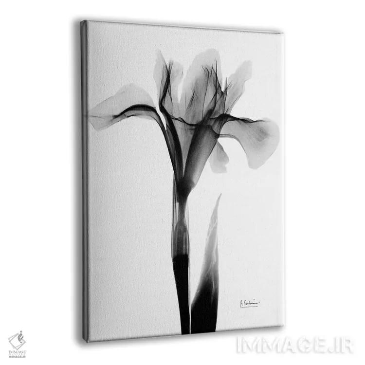 تابلو آیریس بیانشده ۱ اثر آلبرت کوئتسیِر - نمای پرسپکتیو محصول