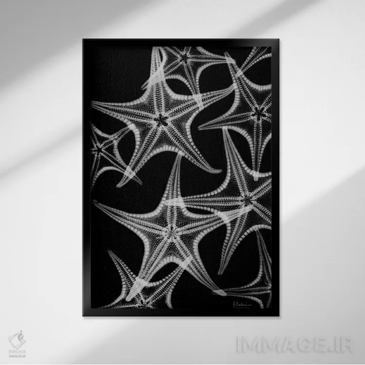 تابلو پاشش ستاره دریایی اثر آلبرت کوئتسیِر - نمای قابدار مشکی