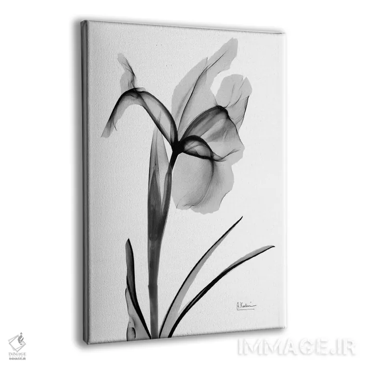 تابلو آیریس بیانشده ۲ اثر آلبرت کوئتسیِر - نمای پرسپکتیو محصول