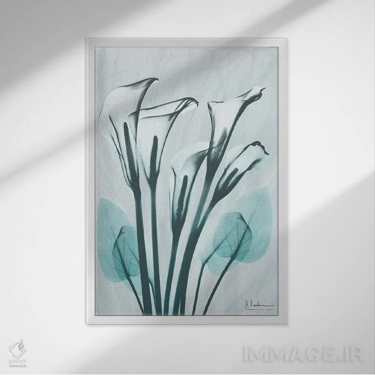 تابلو کالای لیلی کریستالیس ۱ اثر آلبرت کوئتسیِر - نمای قابدار سفید