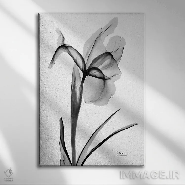 تابلو آیریس بیانشده ۲ اثر آلبرت کوئتسیِر - نمای روبهرو روی دیوار