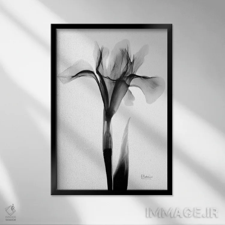 تابلو آیریس بیانشده ۱ اثر آلبرت کوئتسیِر - نمای قابدار مشکی