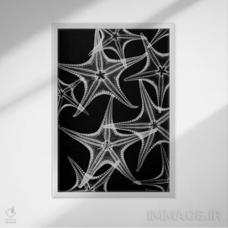 تابلو پاشش ستاره دریایی اثر آلبرت کوئتسیِر - نمای قابدار سفید