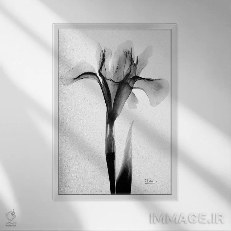 تابلو آیریس بیانشده ۱ اثر آلبرت کوئتسیِر - نمای قابدار سفید