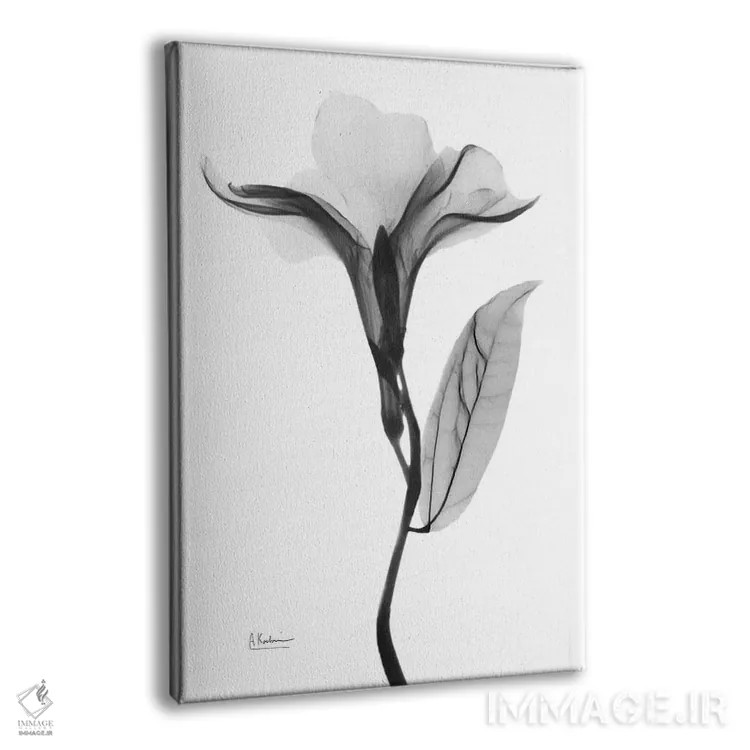 تابلو دفله دلپذیر ۱ اثر آلبرت کوئتسیِر - نمای پرسپکتیو محصول