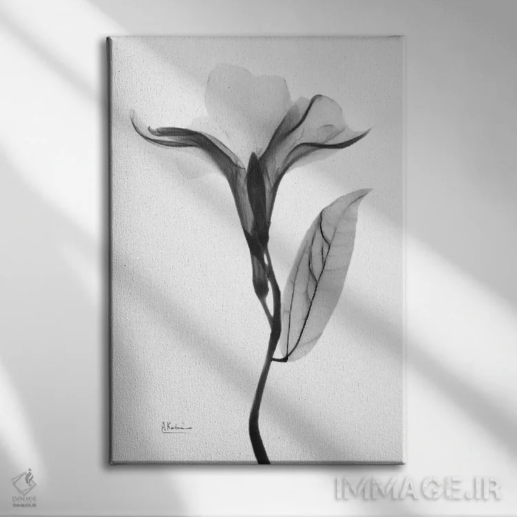 تابلو دفله دلپذیر ۱ اثر آلبرت کوئتسیِر - نمای روبهرو روی دیوار