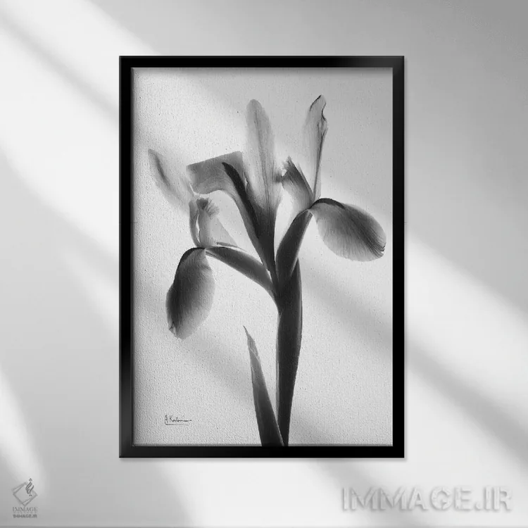 تابلو گل نیمهشب اثر آلبرت کوئتسیِر - نمای قابدار مشکی
