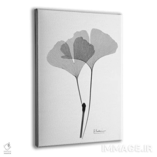 تابلو جینکو معکوس IV اثر آلبرت کوئتسیِر - نمای پرسپکتیو محصول