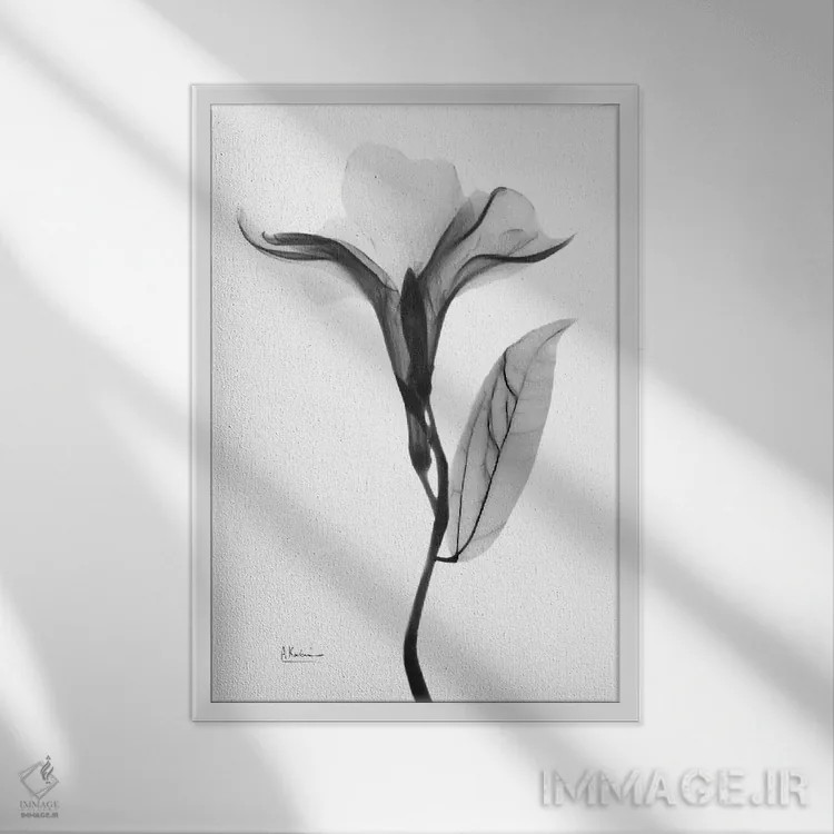 تابلو دفله دلپذیر ۱ اثر آلبرت کوئتسیِر - نمای قابدار سفید