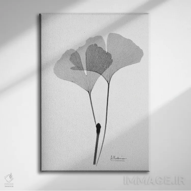 تابلو جینکو معکوس IV اثر آلبرت کوئتسیِر - نمای روبهرو روی دیوار