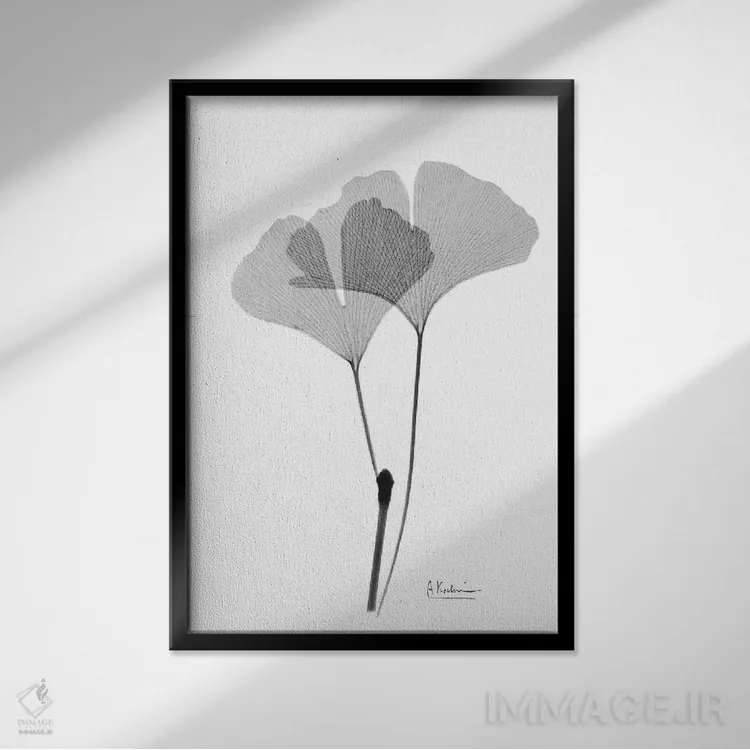 تابلو جینکو معکوس IV اثر آلبرت کوئتسیِر - نمای قابدار مشکی
