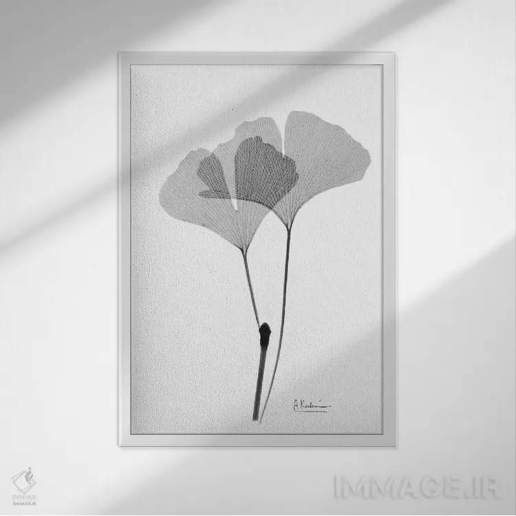 تابلو جینکو معکوس IV اثر آلبرت کوئتسیِر - نمای قابدار سفید